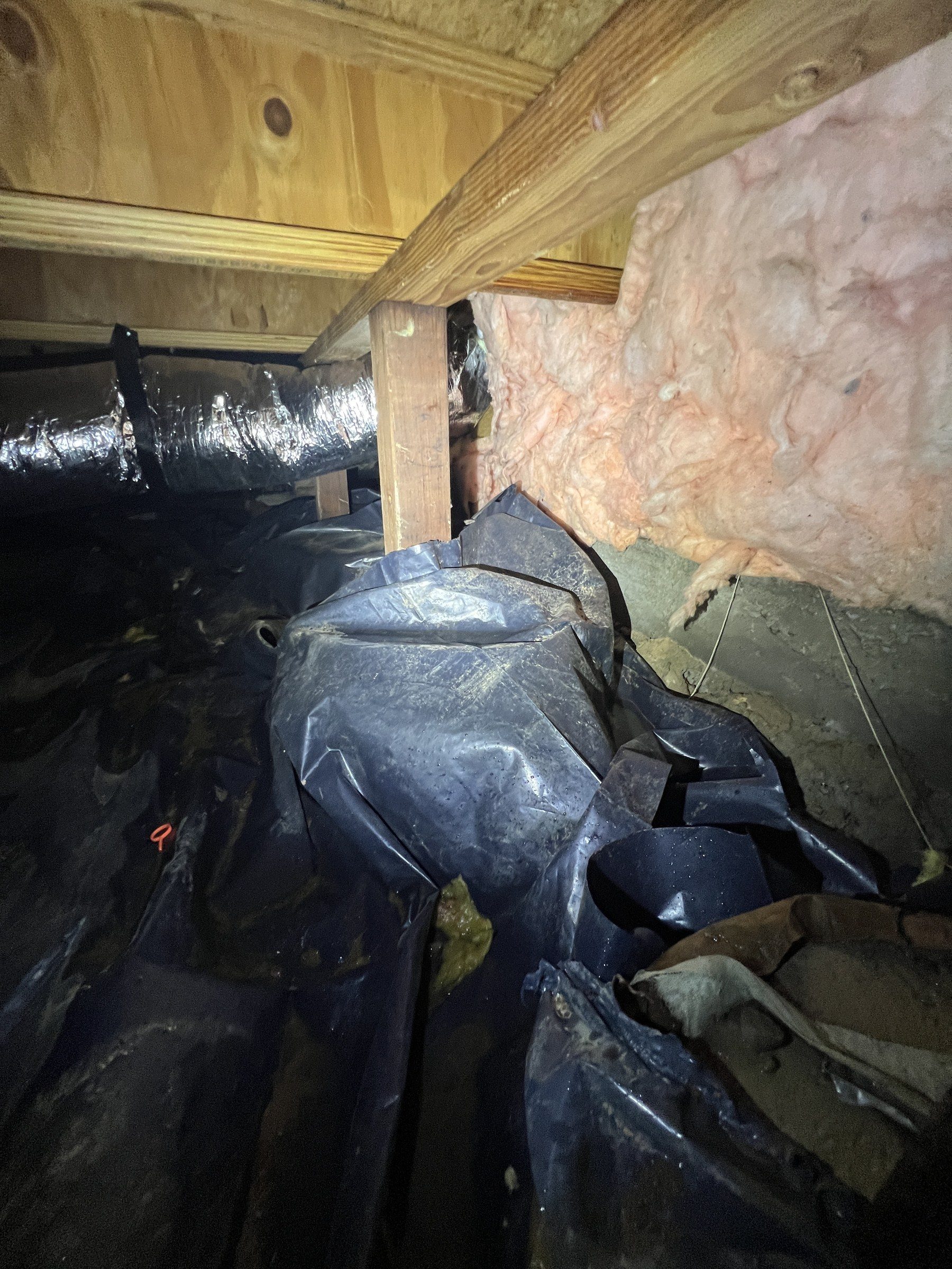 Moisture inspection under way in a Treasure Valley crawlspace on a Peak job